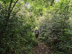 -北仑森林植物园