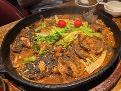 -老板恋上鱼(高新万达店)