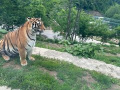 -栾川竹海野生动物园
