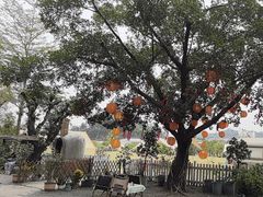 -长洲岛都市农业公园