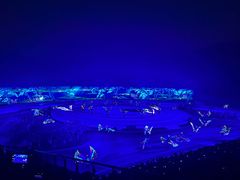 -鼎盛王朝康熙大典实景演出