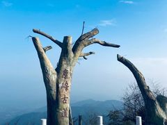 -长沙黑麋峰国家森林公园