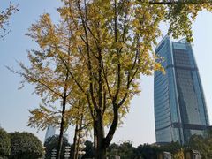 -重庆市江北嘴中央商务区中央公园