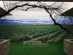 -源石酒庄