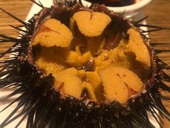 -潮庭·大连海鲜·炭火烧烤·扇贝王(大连店)