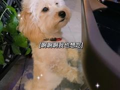 -拾挚扒房(招商花园城店)