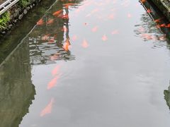 -寒岩夕照农家乐