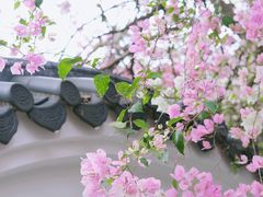 -深圳国际园林花卉博览园