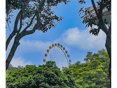 -紫马岭公园