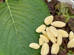 -黄金牧场(明洞总店)