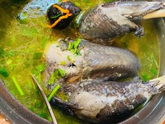 鸡汤-老张烤羊(王哥庄店)