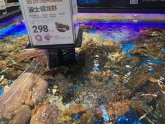 水产区-盒马鲜生(岭南新世界店)