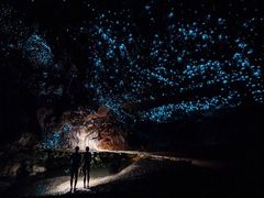 -怀托摩萤火虫洞