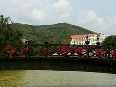 android_upload_pic-三亚亚龙湾金棕榈度假酒店