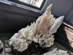 -游龙石文化科普馆