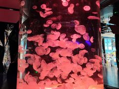 -海合安成都极地海洋公园