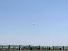 -盐城丹顶鹤湿地生态旅游区