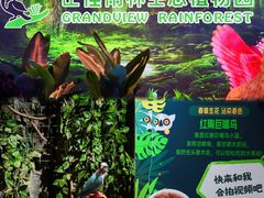 -正佳雨林生态植物园