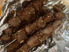 肥瘦-多寿小电烤