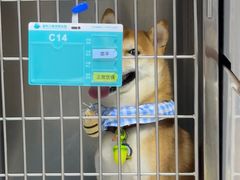 -谐和贝康宠物医院24小时·宠保定点(急重症转诊中心)