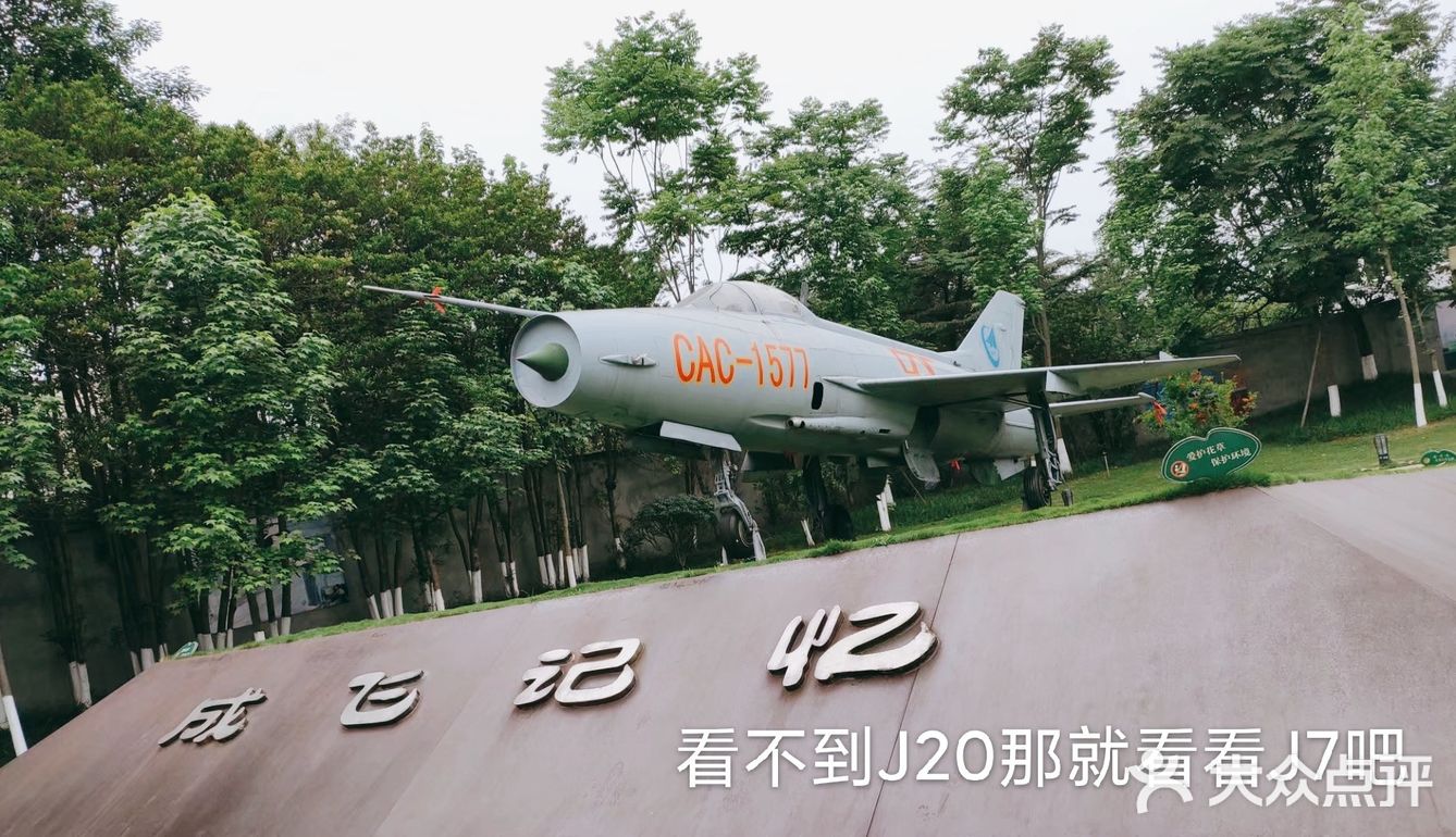 给我最爱的威龙打call