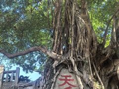 -乌山风景区