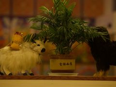 -卡万金特色藏餐
