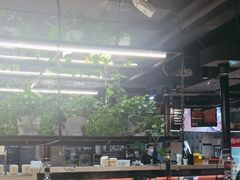 -猫爪爪原切自助烤肉(观音桥阳光世纪店)