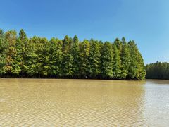 -上海海湾国家森林公园
