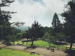 -神户市立六甲山牧场