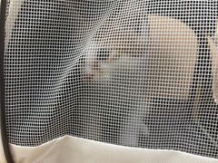 -瑞鹏宠物医院·宠保定点·心脏科·内科(御桥分院)