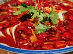 非一般毛血旺-新悦·霞浦海鲜生(上下杭店)