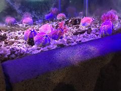 -苏州海洋馆