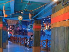 -海合安青岛极地海洋公园