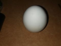 -傻二炒货龙虾(李沧旗舰店)