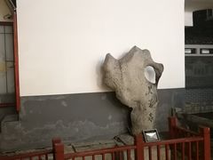 -芙蓉泉·烤鸡爪(芙蓉街店)