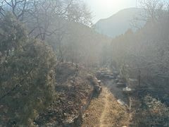 -佛慧山