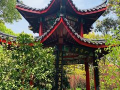 -南汇桃花村