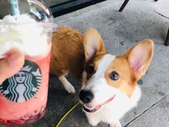 -星巴克(绍兴柯桥柯岩景区店)