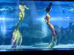 -成都浩海立方海洋公园