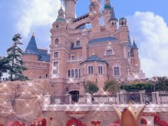 -上海迪士尼度假区