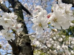 -长田漾湿地公园