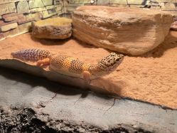 -Zoolung Zoolung动物主题公园(海信广场店)