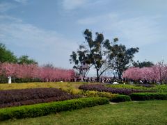 -福建鲤鱼洲酒店