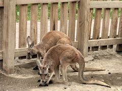 -水上乐园·欢乐世界