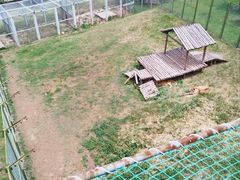 -青藏高原野生动物园