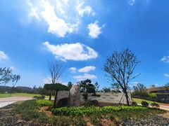 -九龙湖公园