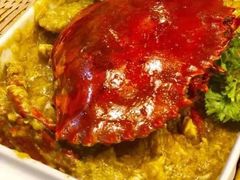 -茉莉.Red Crab