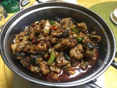 -丁老爷子苏香圆