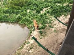 -新疆天山野生动物园